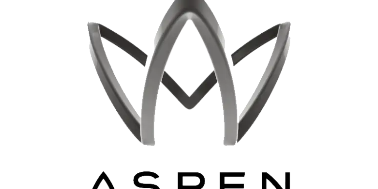 McKinsey à la rescousse d'Aspen