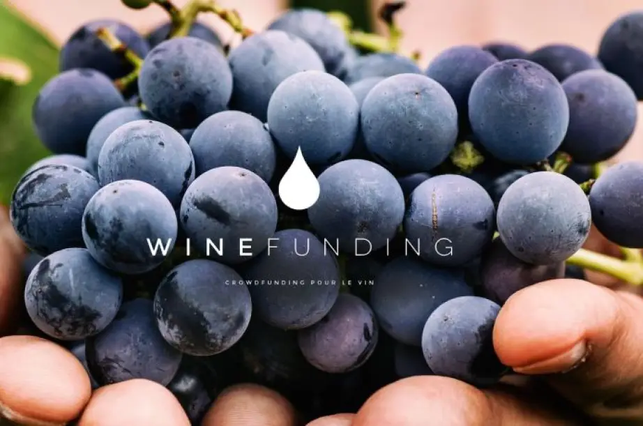 Un ancien de Roland Berger veut financer la filière viticole française