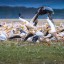 adobestock146759560