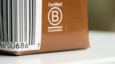 03102022bcorpillustration