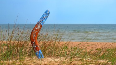 adobestock84849025consultants-boomerangresize