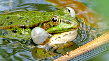 incertitude-politique-fr-le-conseil-en-strategie-retient-son-souffle