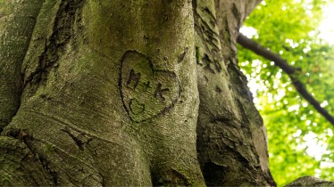 adobestockcouples71310411