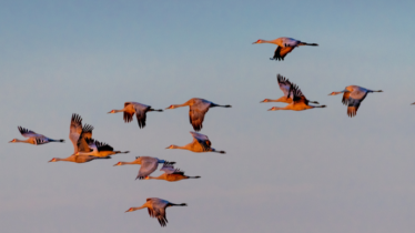 mobilite-temporaire-internationale-