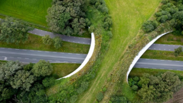 interview-de-romain-lucazeauscet