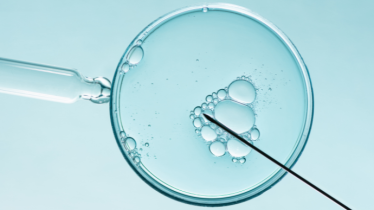 biotechs-dont-abivaxregard-experts-du-conseil