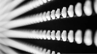 memorial-aux-opiaces-maison-blanche-c-creative-commons-1