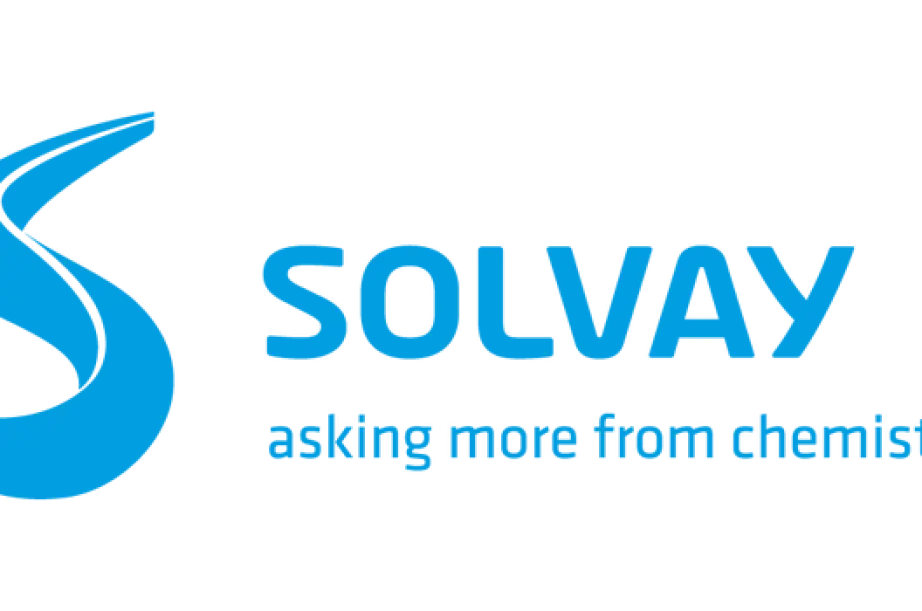 Strategy& derrière la cession des activités polyamides de Solvay à BASF