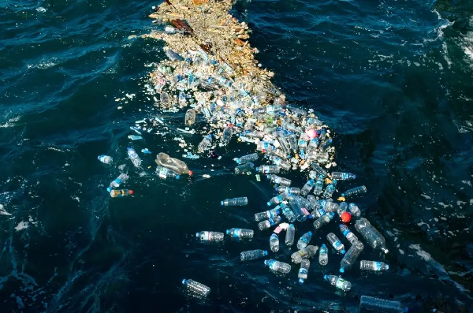 Destruction des océans : le BCG cocrée un tableau de bord clé en main pour les entreprises