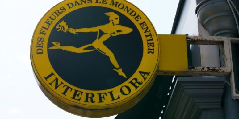 Vente d’Interflora : INDEFI x Singulier côté acheteur, Roland Berger côté vendeur