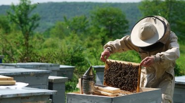 26_05_2021_apiculture