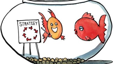 strategy_in_a_small_goldfishbowl_419955