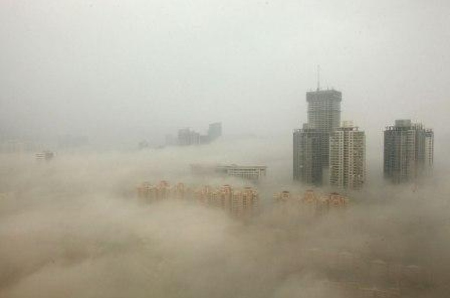 Le développement durable, poids mort de la stratégie ?