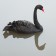 cygne_noir