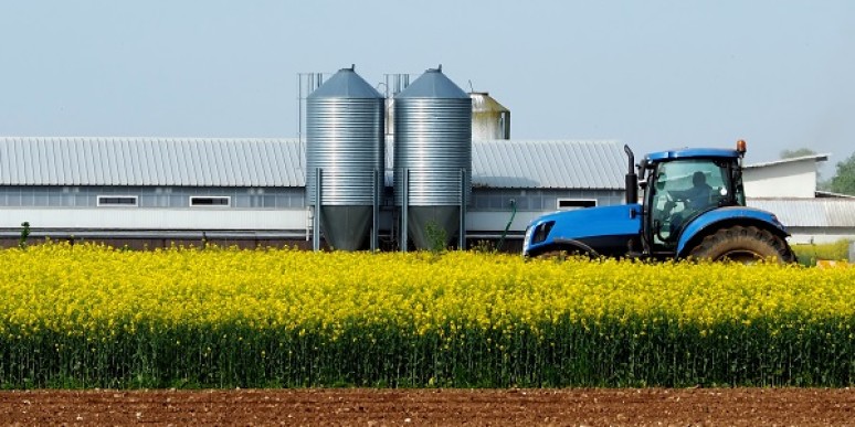 Agroalimentaire : la relation stratèges-acheteurs vue par le groupe Avril
