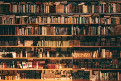 Ministère de la culture : Roland Berger planche sur les bibliothèques