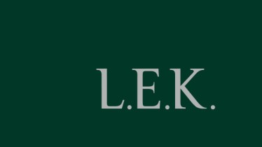 logo_lek_consultor